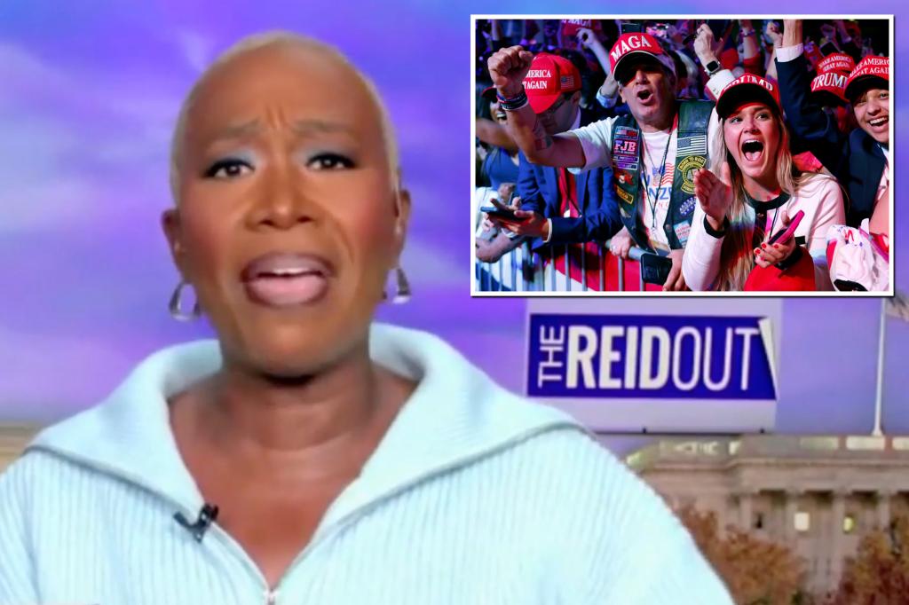 MSNBC's Joy Reid Has an Irreversible GOP Joke Ahead of Thanksgiving: 'Make Your Dinner, MAGA'